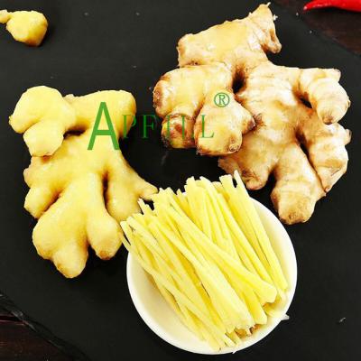 China Yunnan China Manufacturer Fresh Factory Wholesale Fresh Yellow Ginger 10kg One Carton Packing 40 RF Container Loading 28 Tons for sale