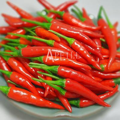 China Fresh fresh millet peppers are found at the place of origin, selected and sold, carefully chosen and also fresh for sale