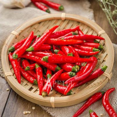 China Fresh carefully and strictly selected fresh peppers than millet pepper the attractive color and natural uniform size luster of ripeness for sale