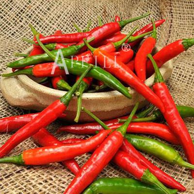 China Fresh Fresh Pepper Farm Grows Chaotian Pepper n Now Picked and Found for Direct Supply from Point of Origin for sale