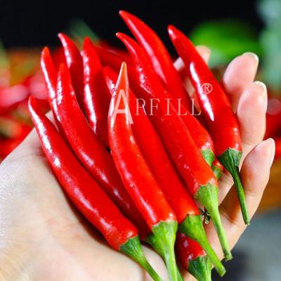 China Fresh millet pepper Chaotian pepper farm picks fresh vegetables and peppers are extra spicy for sale