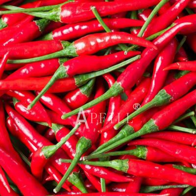 China Yunnan fresh high-quality fresh peppers are carefully and strictly hand-picked for sale