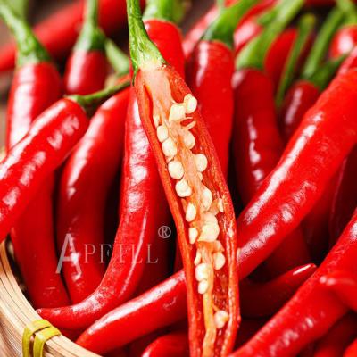 China High quality farm fresh peppers grown completely from hand selected and carefully chosen spiciness with bright and attractive colors for sale