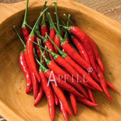 China Chinese Fresh Organic Chili Pepper Single Spices Chilly Food And Drink Seasoning For Supermarkets Fresh Red Green Chili for sale