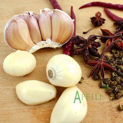 China 2021 Yunnan Manufacturer Fresh Factory Wholesale Fresh Natural White Garlic Competitive Price for sale