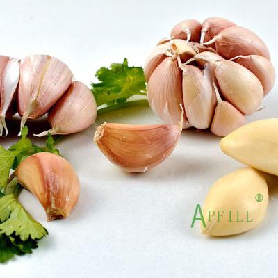 China Bulk 5.5cm fresh pure white fresh garlic garlic prices for sale Yunnan China garlic. for sale