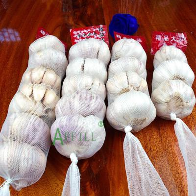 China Fresh wholesales Yunnan single purple fresh garlic for dinner medical treatment science taste raw material garlic used for cosmetics for sale