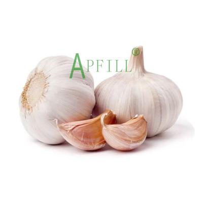 China Yunnan Fresh Garlic Wholesales Best Pure Garlic 3cm Green Taste Specialized Manufacturer Factory Supply 1 Ton Fresh Garlic for sale