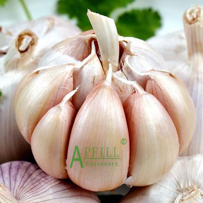 China 2022 Wholesale Fresh Yunnan White Garlic For 10 Kg One Packing Carton Healthy Farm Products With 40 26 Ton Container for sale