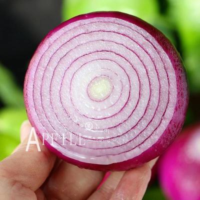 China Yunnan factory wholesales fresh fresh onion to be the best seasoning and natural green healthy purple onion to extract solution for sale