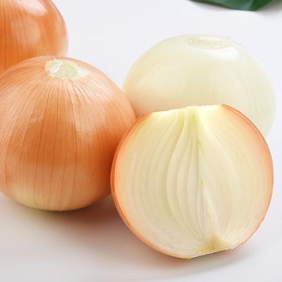 China New Yunnan Harvest Onion Factory Manufacturer Fresh Fresh Fresh Onion 30kg 2022 Supply Best Quality For Fired Food for sale