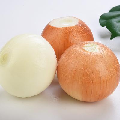 China 2022 Fresh New Harvest Fresh Onion Wholesales Yunnan Manufacturer Supply Premium Fresh Onion 30kg Fresh Onion For Fired Food for sale