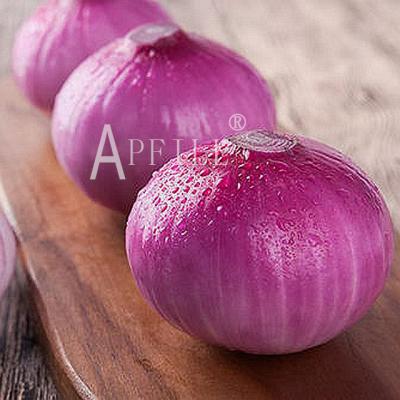 China Wholesale high quality natural onion quality 2022 new Chinese exporters wholesale fresh healthy fresh vegetable cultivation for sale