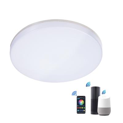 China Wifi Stepless Dimmable Ip54 Waterproof 18w 24w RGB Stepless Dimming Round Voice Control APP Mobile Phone Decorative Lamp Rgbw Smart Led Ceiling Light for sale