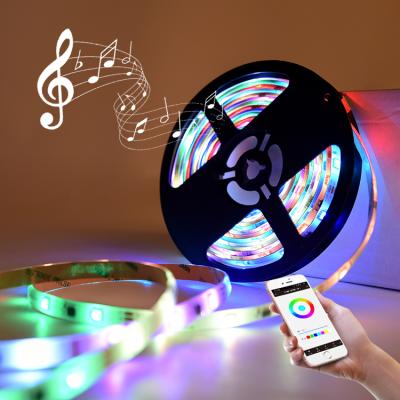 China Smart Theme Park Rgbic Rainbow Effect 24 Volt Led Strip Lights, IR Music Sync Dream Remote Control RGB 5050 Color Led Strip for sale