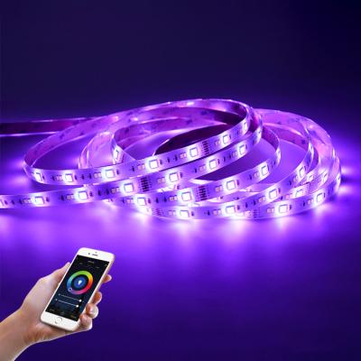 China Theme Park 12v 30leds Dc 5050 RGB 30leds+ 2835 2700k+2835 6500k 30leds Phone Smart Flexible RGBW Control Led Strip Light for sale