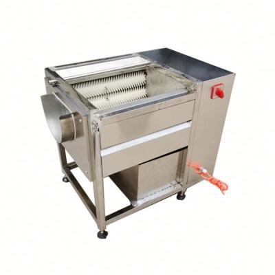 China Hotels Promotion Radish Peeler and Seal Root Vegetable Washing Peeling Machine for sale