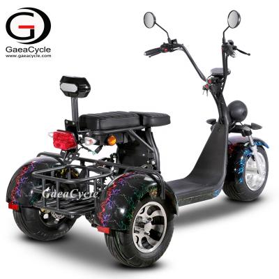 China Citycoco electric scooter Gaea 3 wheels electric scooter EEC 2020 certificates 18*9.5 inch for sale