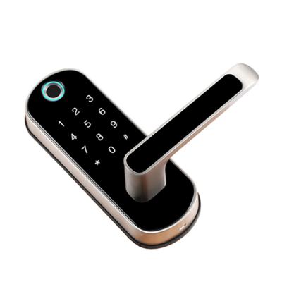 China Tuya TTLOCK app earphone deadbolt wifi smart home lock smart door locks for sale