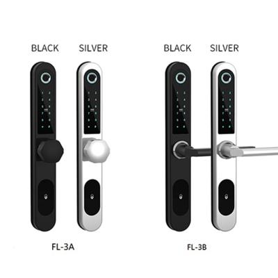 China Smart Bridge 304 Stainless Steel Door Lock Aluminum Fingerprint Biometric Fingerprint Password Card Lock for sale