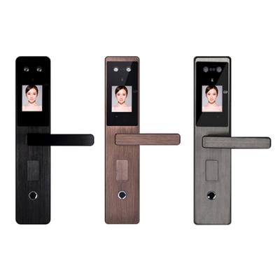 China digital safe smart lock tuya zigbee face recognition biometric smart door lock for home security FE205 for sale