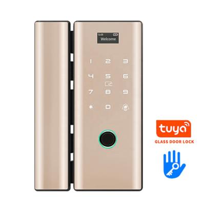 China Security Zinc Alloy Fingerprint Door Glass Sliding Tuya WiFi Keypad Numeric Lock for sale