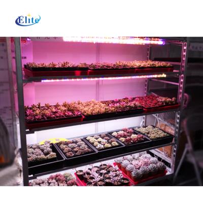 China Flower Transport Greenhouse Cart For Sowing And Grafting With Led Light for sale