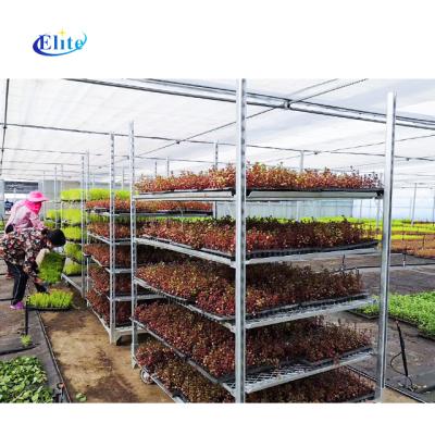 China Greenhouse 342 Cultivate for sale