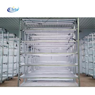 China Grow Seedlings Fill LED Light Plant Nursery Cart For Grow Seedlings for sale