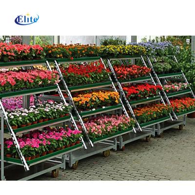 China Greenhouse Welding Wire Easy Carry Flower Display Rack Mobile Cart for sale