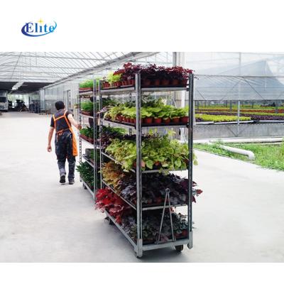 China Optional Shelf Number Flower Plant Seeding Nursery Led Greenhouse Growing Carts for sale