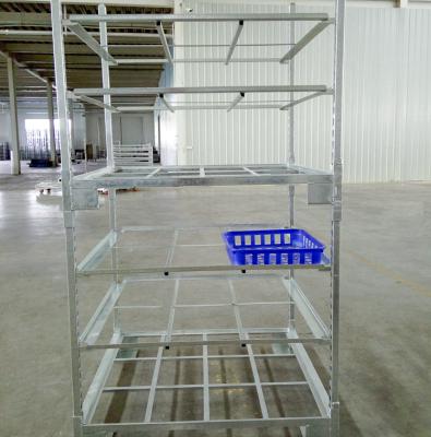 China Easy Movable Hot Galvanized Movable Frame Metal Mushroom Growing Rack Equipment for sale