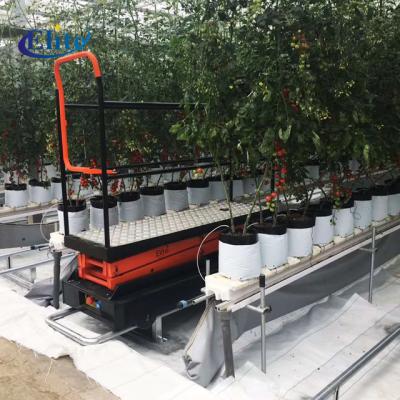 China Greenhouse Picking Greenhouse Pipe Rail Trolley Harvest Lift Cart for sale