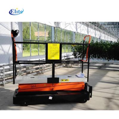 China Adjustable Portable Farms Scissor Lift Table Work Platform Tube Rail Trolley For Greenhouse Fruit Picking for sale