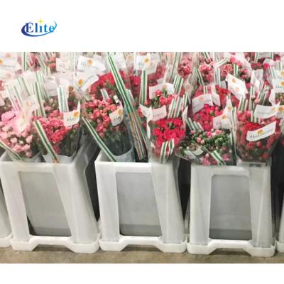 China Cheap Dutch Plastic Tulip Bucket Flower Auction CLASSIC Logistics for sale