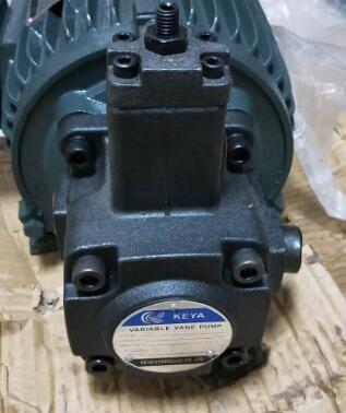 China Automotive Industry KEYA Variable Pump VPE-F20A-10 VPE-F20B-10 VPE-F20C-10 VPE-F20D-10 Hydraulic Vane Pump Oil Pump Low Pressure for sale