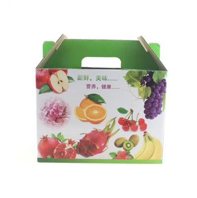 China Custom Exquisite Packaging Color Box Manufacturers Biodegradable Fruit Color Box Handheld Gift Box for sale