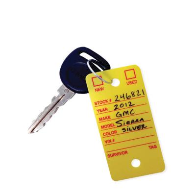 China Customized viable paper key tag, OEM logo printed automotive key tags, metal ring attached versa tag for sale