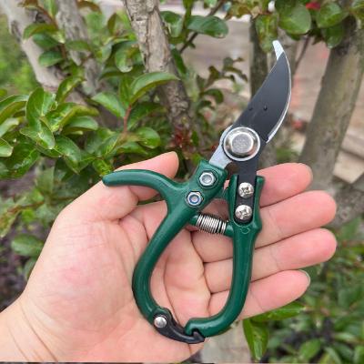 China Anti-Slip Handle Garden Shears Floral Shears Comfort Handle Handle Premium Steel Professional Floral Scissors Dealing Flower Pruning Trimming for sale