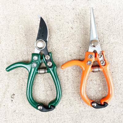 China Anti-Slip Pruning Scissors Garden Handle Floral Shears Set Pruner Shears with Comfort Grip Handle and Pointed Blade for Gardening Flowers for sale