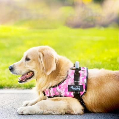 China Viable Dog Saddle Shaped Explosion Proof Big Chest Strap Dog Rear Traction Rope for sale