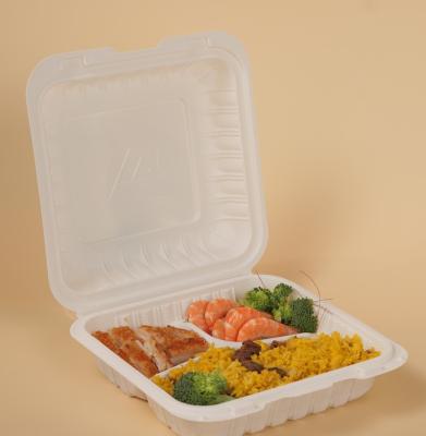 China Disposable Hinged Disposable Food Container Box For Food Storage Containers With Hinge Lid for sale