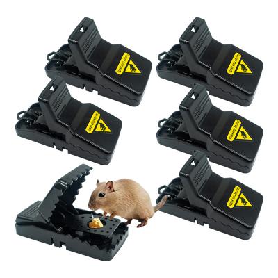 China Professional cat safe mouse traps old mouse trap friendly mouse trap en venta