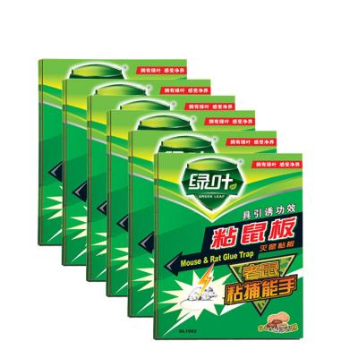 中国 bestselling powerful mouse traps rat glue trap humane mouse trap 販売のため