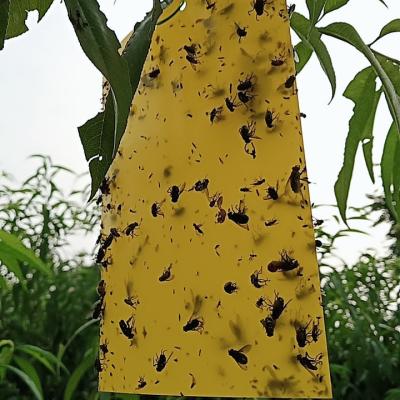 China Environmental protection Special spectral lure Yellow Sticky Paper Sticky Traps killing Flying Plant Insect à venda