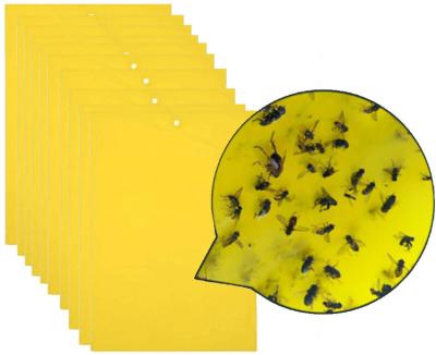 China Double side Garden Strong Flies Sticky Insect Glue Traps Glue Stickers à venda