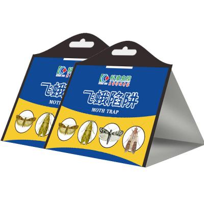 Cina OEM Pantry Moth Glue Trap With Attractant To Control Premium Pantry Moth pheromone trap in vendita