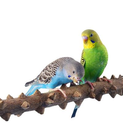 China Viable Bite Claw Pet Bird Parrot Holder Grinding Wooden Pet Toys Hanging Cage Pet Product Bird Standing Stick for sale