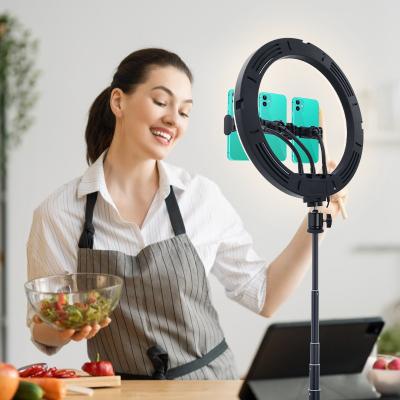 China Mini 12inch led photography light for video camera tiktok selfie ringlight luz d'aro led ring light with tripod stand for sale