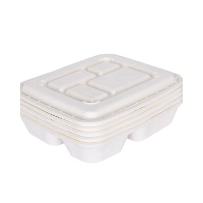 China High quality degradable biodegradable easy to open four-compartment design lunch box for school students is not easy to flow for sale